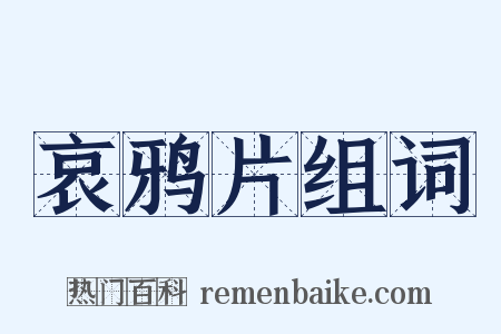 哀鸦片组词是什么意思的图片